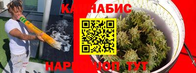 мдпв Пугачёв