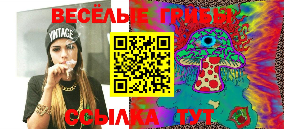 Галлюциногенные грибы MAGIC MUSHROOMS  Вход с VPN  Ростов-на-Дону 