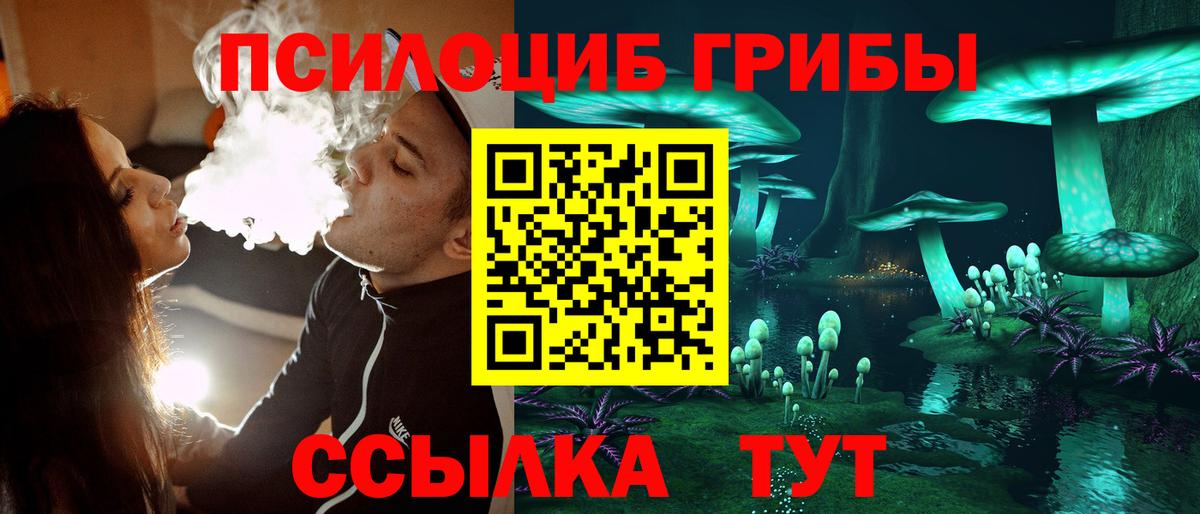 Псилоцибиновые грибы прущие грибы Ростов-на-Дону